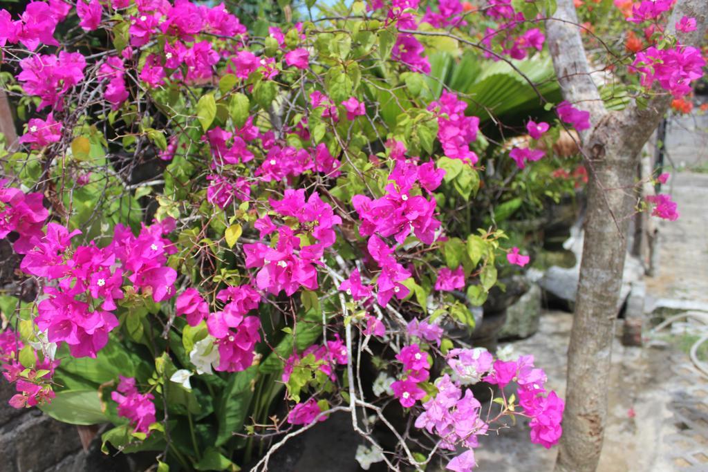 Bougainvillea Appartamento Canggu Esterno foto